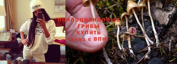 ECSTASY Армянск