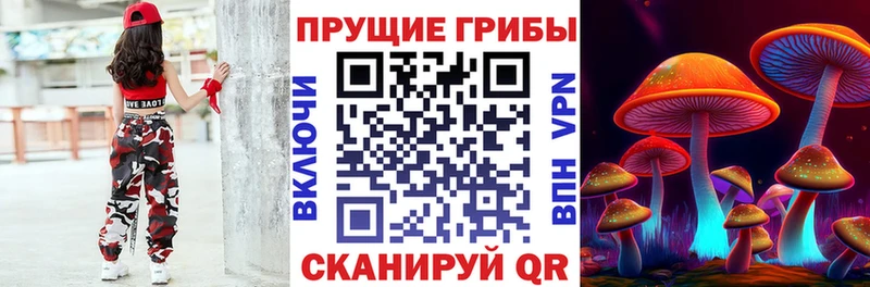Галлюциногенные грибы Psilocybe  Чёрмоз 